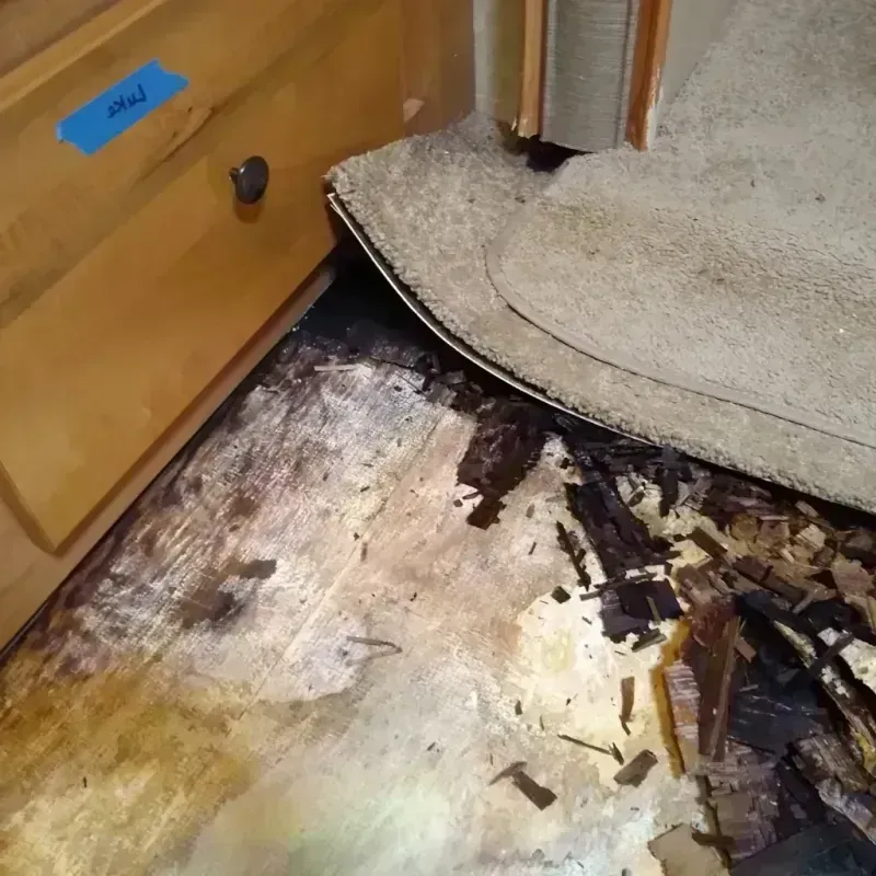 Best Wood Floor Water Damage Service in Winsted, MN